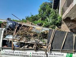 Best Hoarding Cleanup  in Pine Knoll Shores, NC